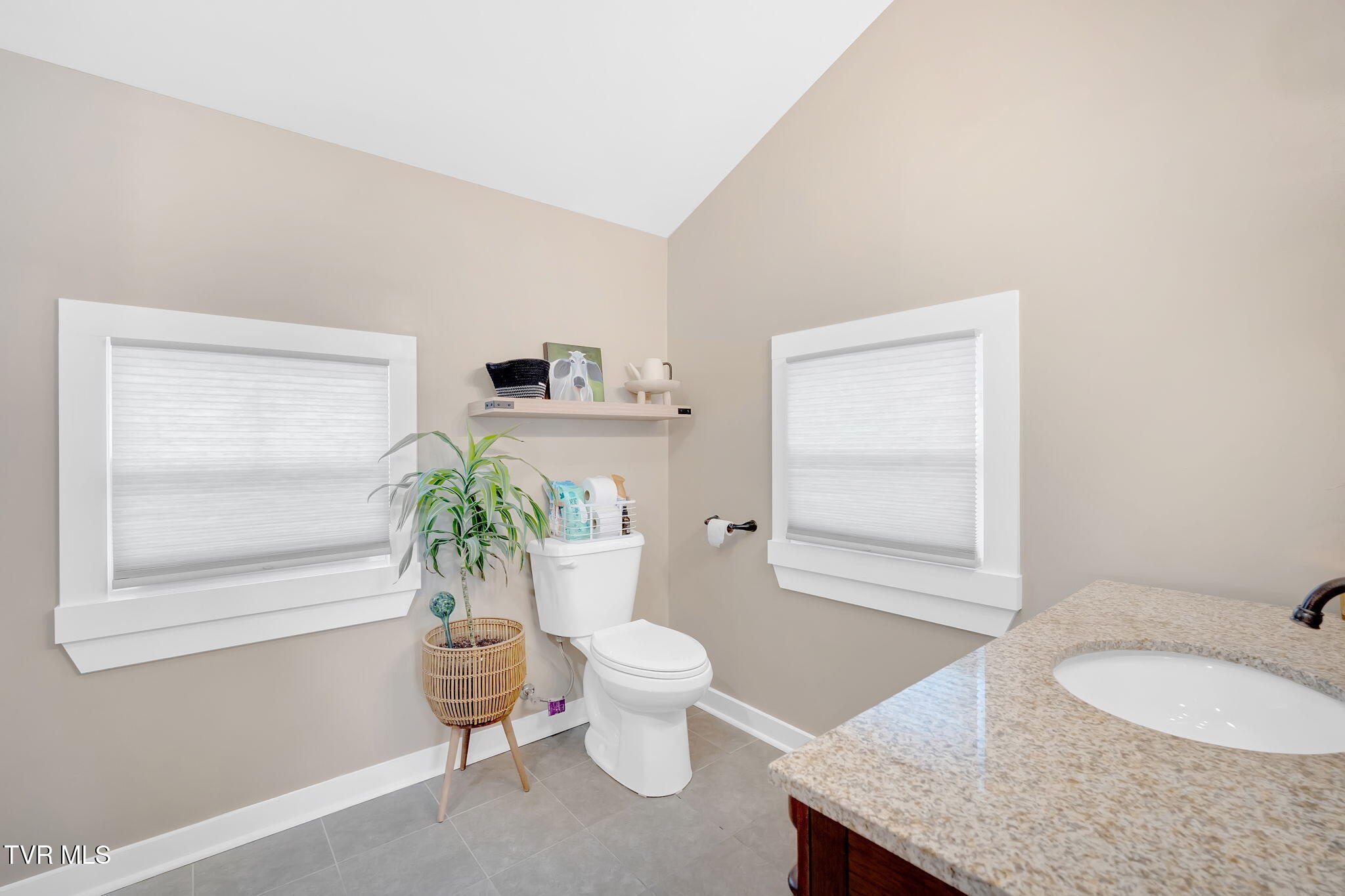 309 Sycamore Street, Elizabethton, Tennessee image 28