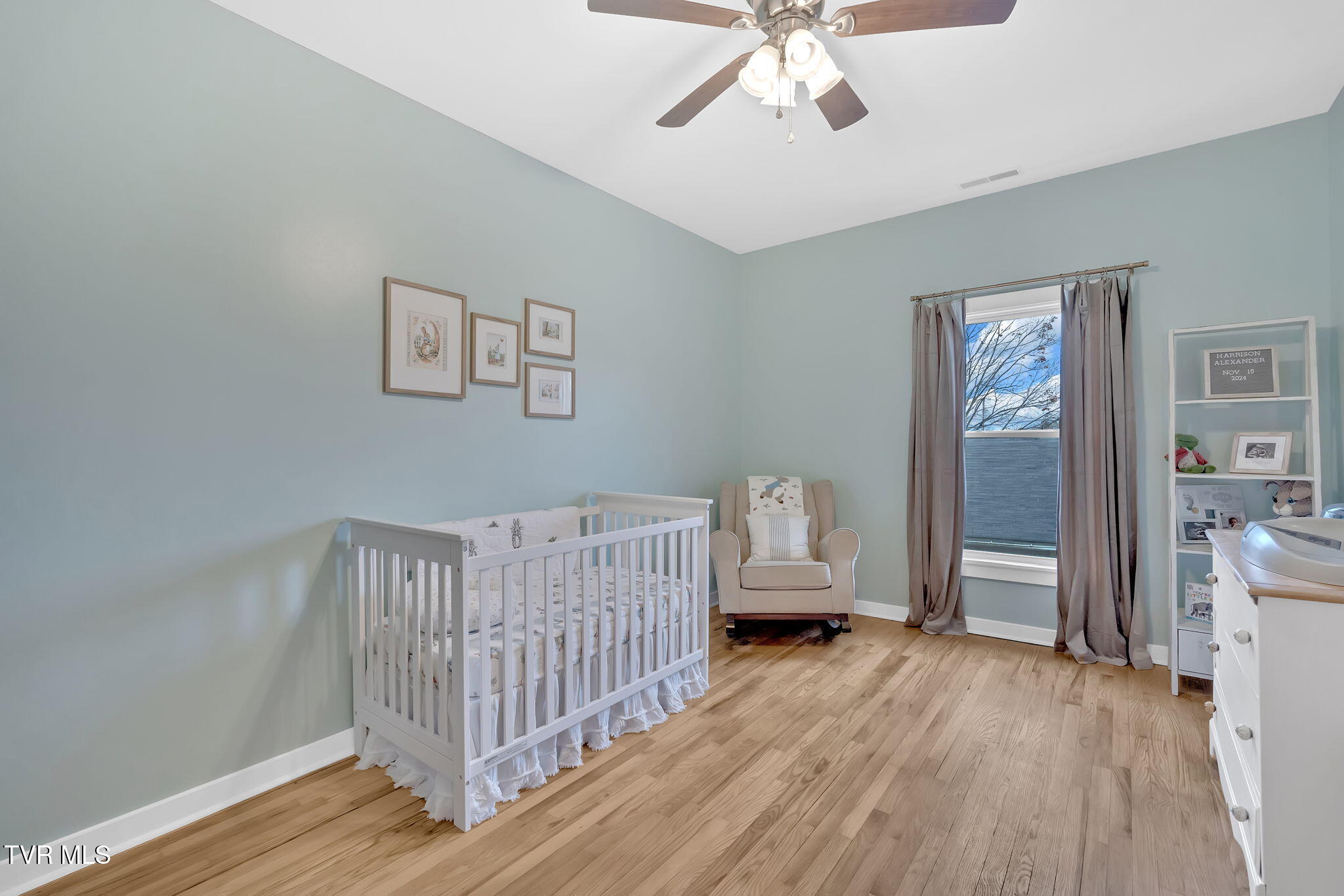309 Sycamore Street, Elizabethton, Tennessee image 36