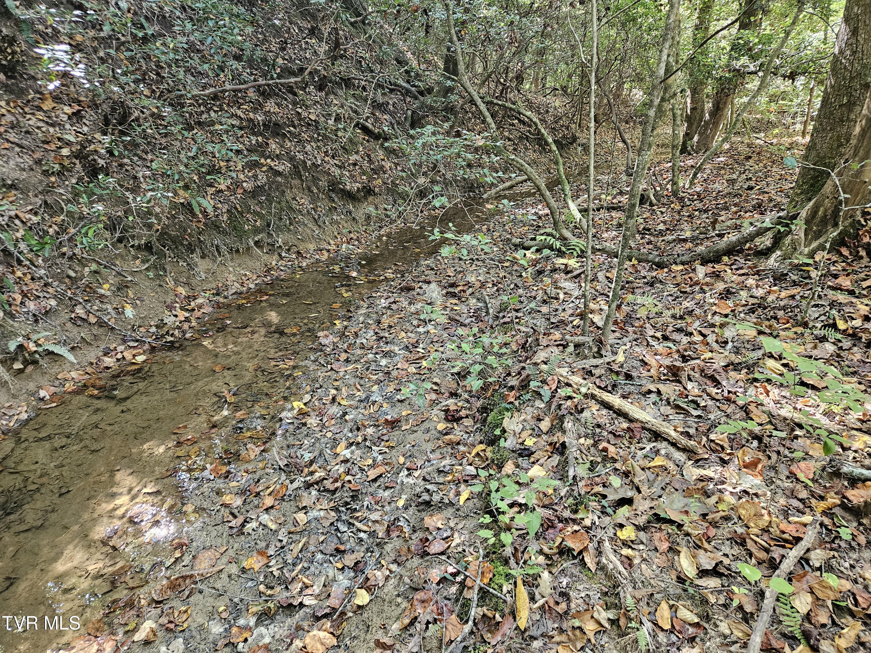 000 Cave Springs Road, Rogersville, Tennessee image 4