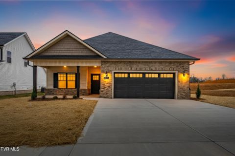 Photo of 617 Cherry Marie Drive, Jonesborough, TN 37659 (MLS # 9990257)