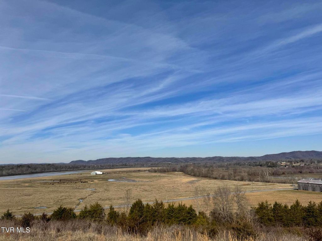 Photo of 165 Wilkerson Road, Mosheim, TN 37818 (MLS # 9995341)