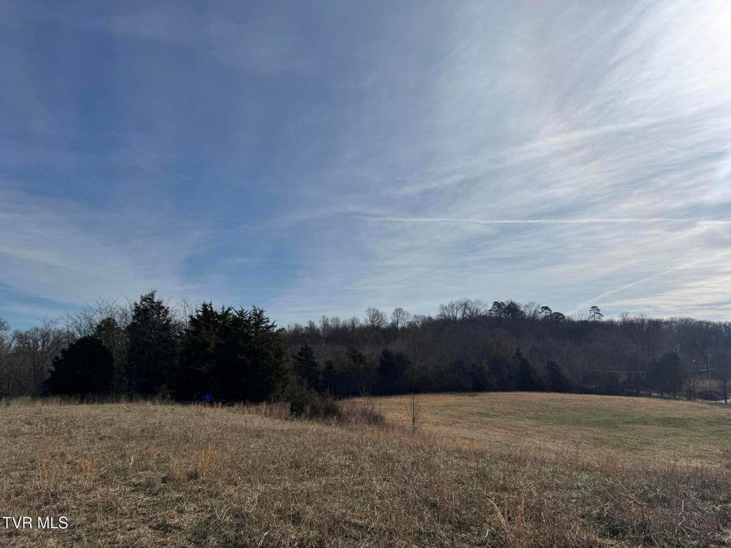 Photo of 165 Wilkerson Road, Mosheim, TN 37818 (MLS # 9995341)