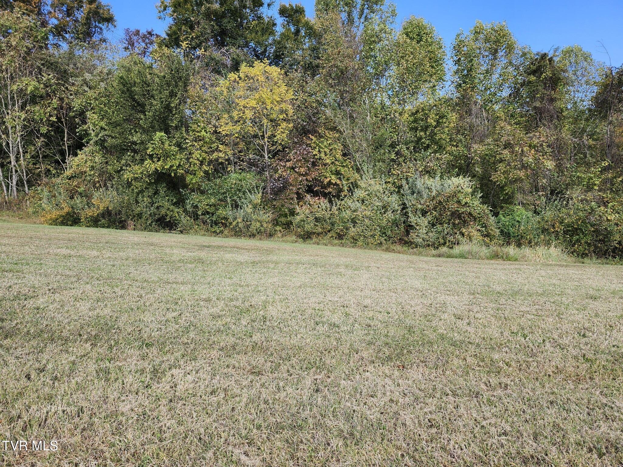 5037 Serenity  Drive Drive, Mooresburg, Tennessee image 1