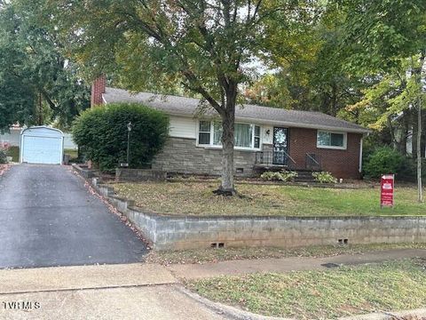 Photo of 605 Robin Lane, Kingsport, TN 37660 (MLS # 9986584)
