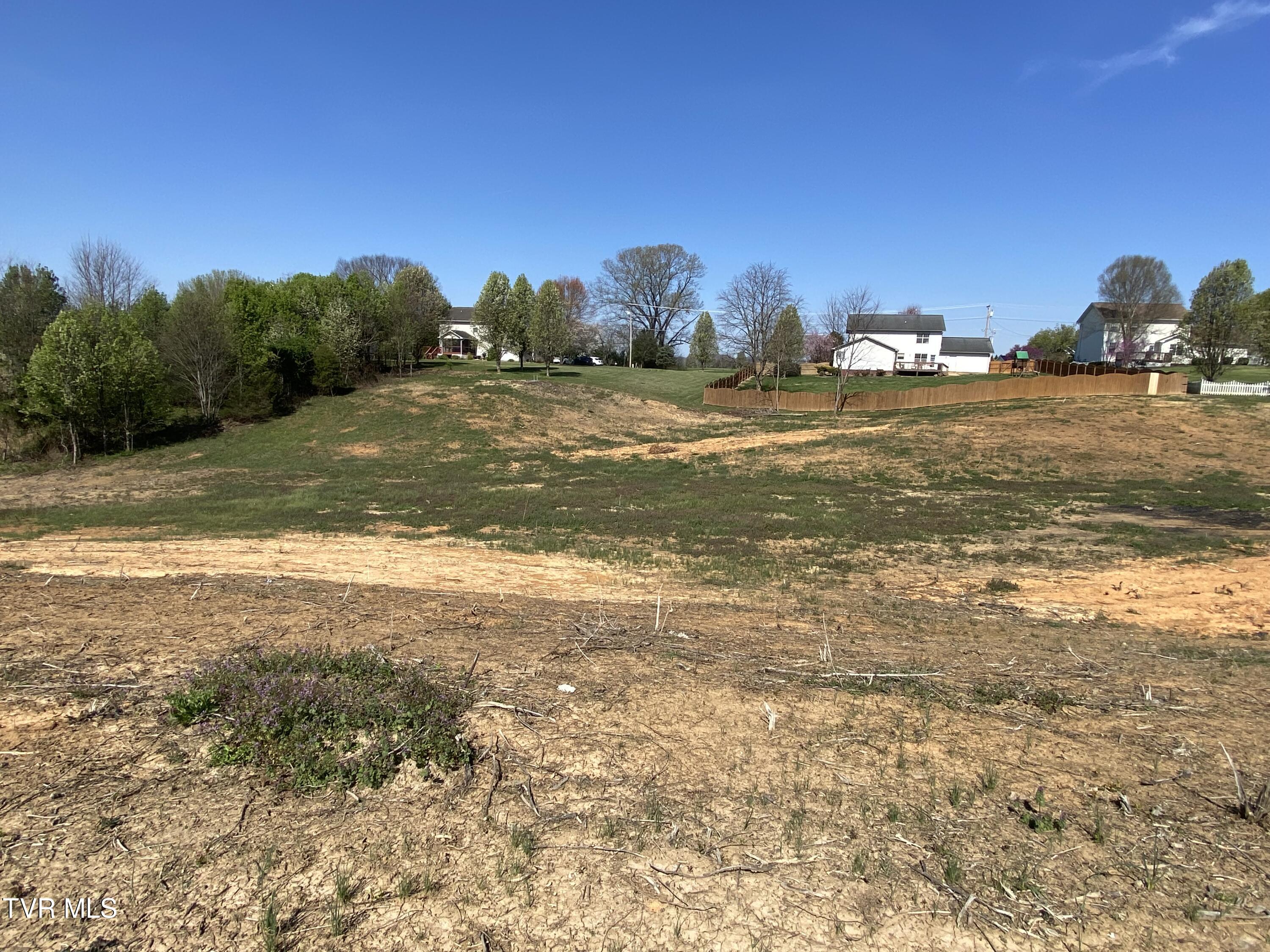 318 Sugar Plum Lane, Telford, Tennessee image 12