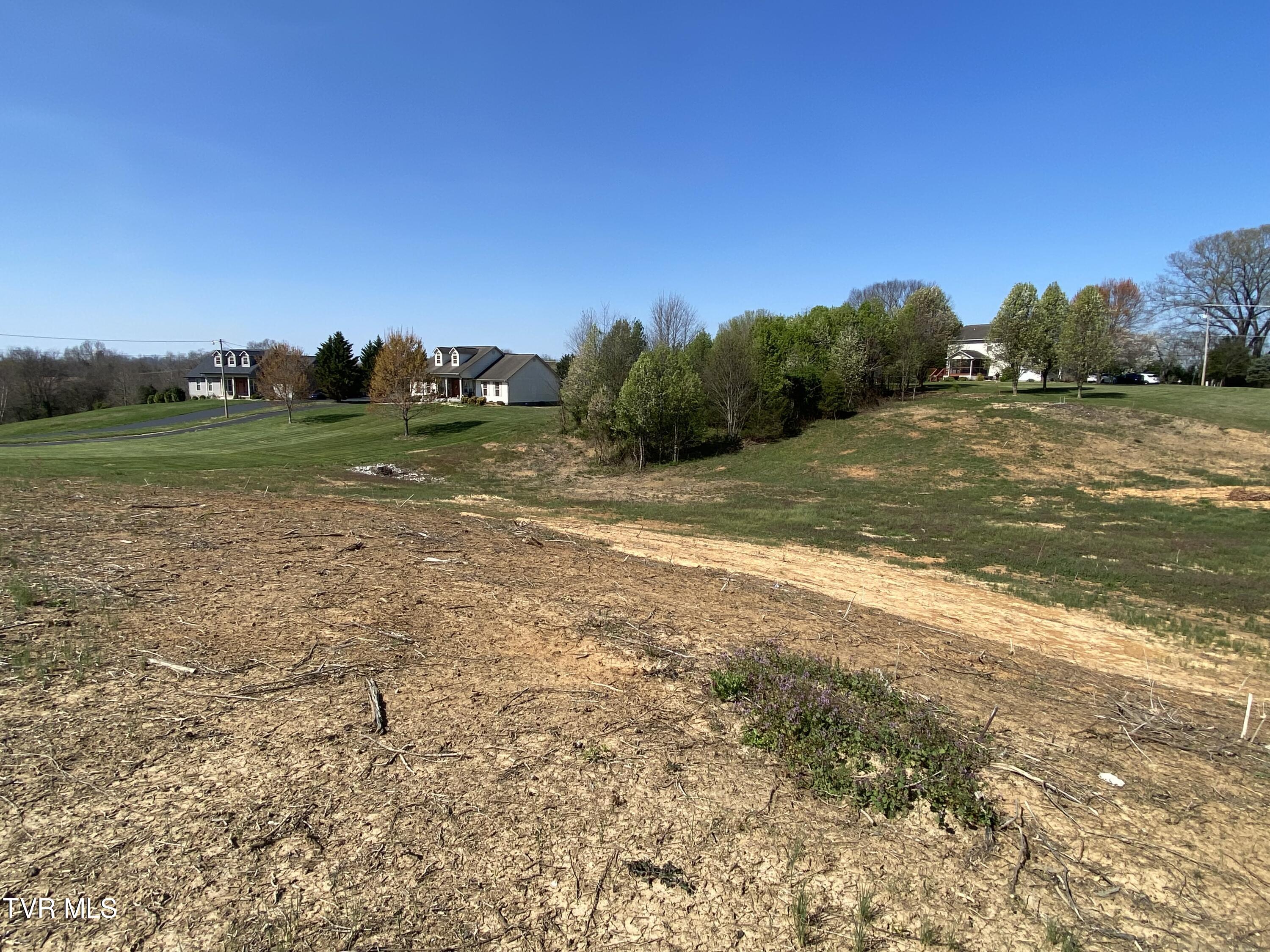 318 Sugar Plum Lane, Telford, Tennessee image 13