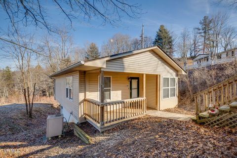 Homes For Sale - 120 Ray Circle<br/> Tazewell County, Richlands, VA 24641