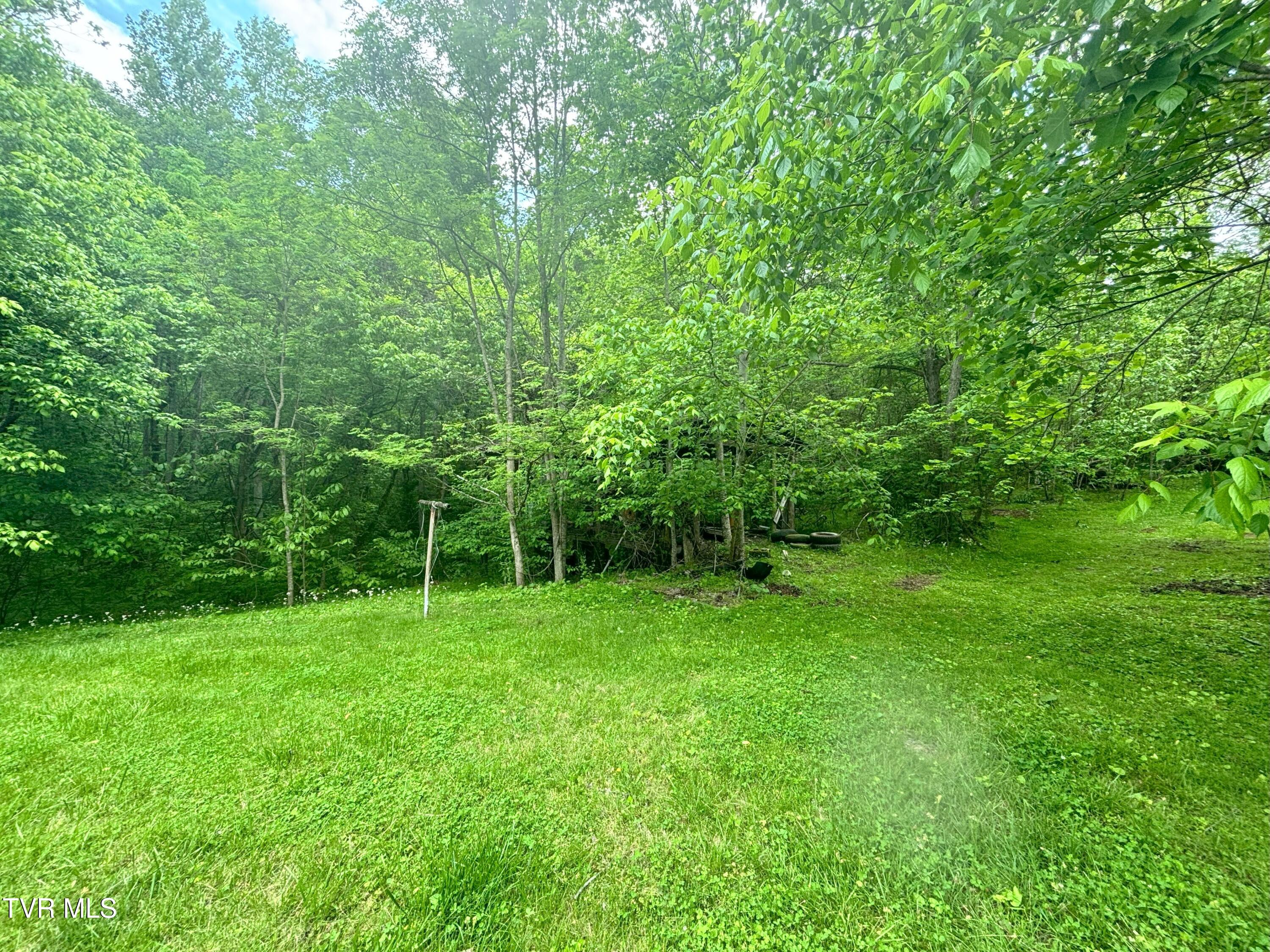 3719 Red Hill Road, Gate City, Virginia image 38