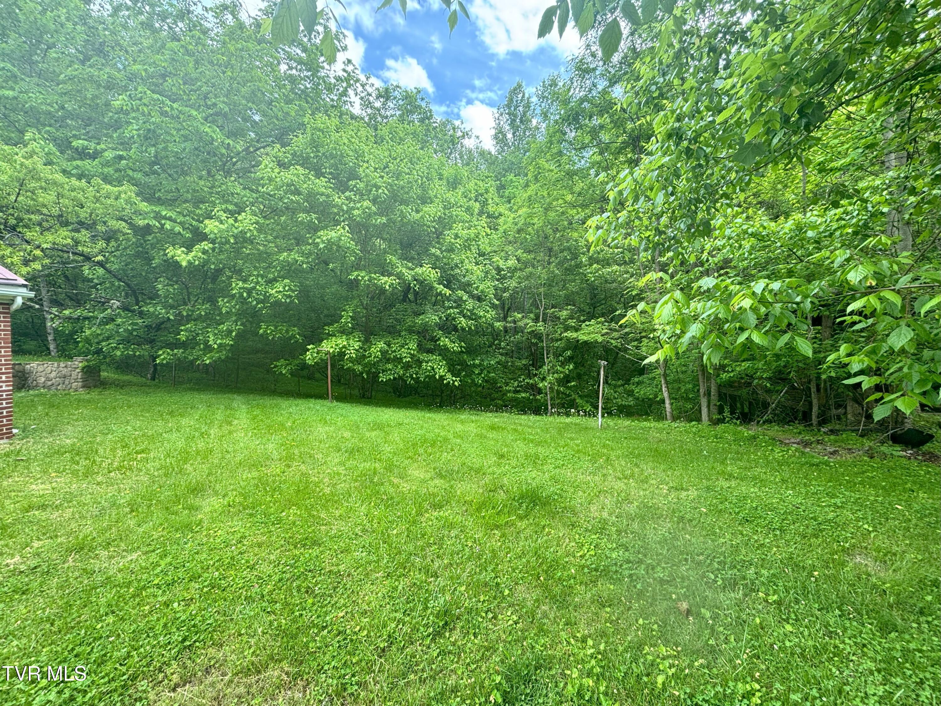 3719 Red Hill Road, Gate City, Virginia image 37