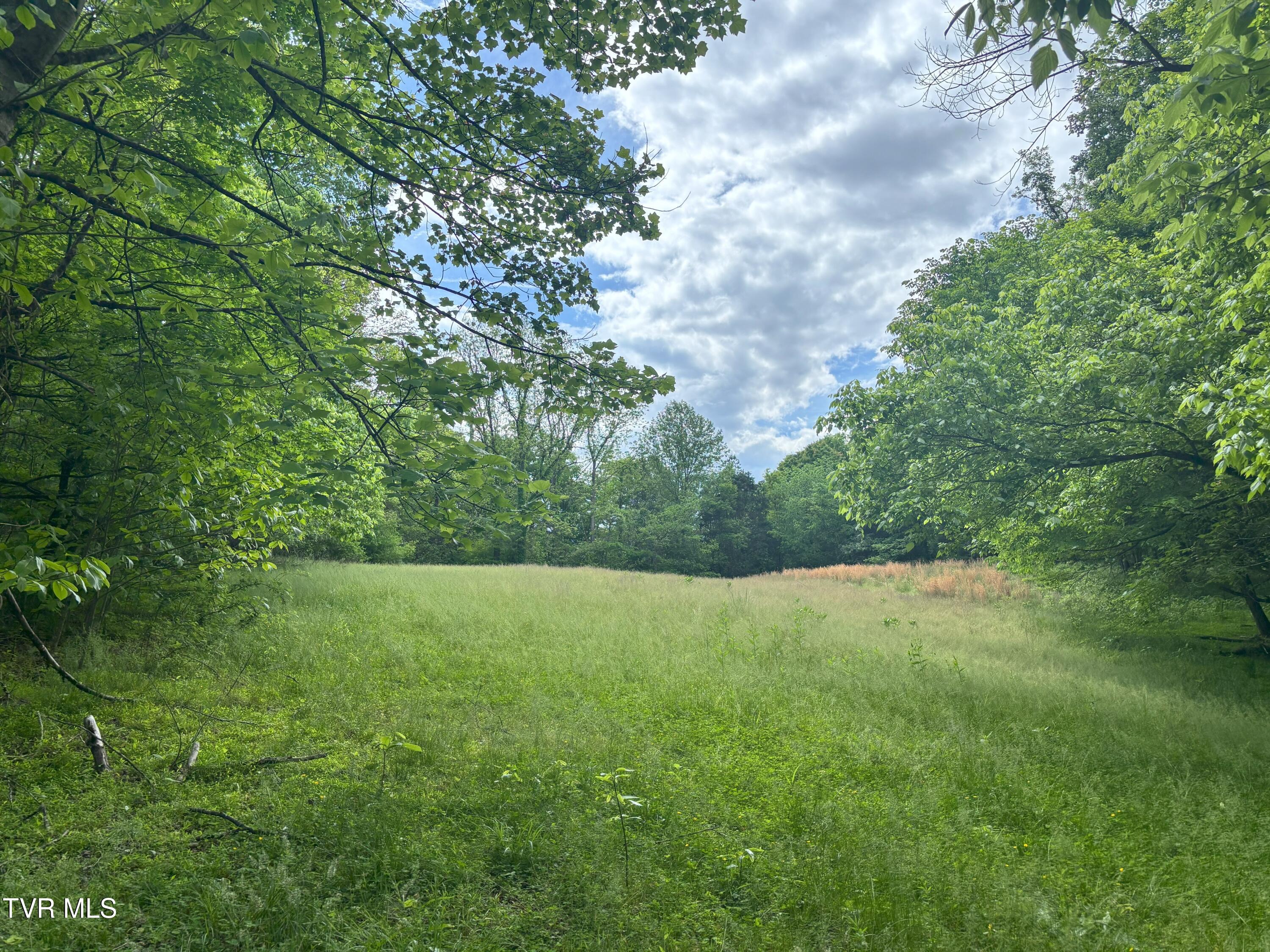 3719 Red Hill Road, Gate City, Virginia image 44