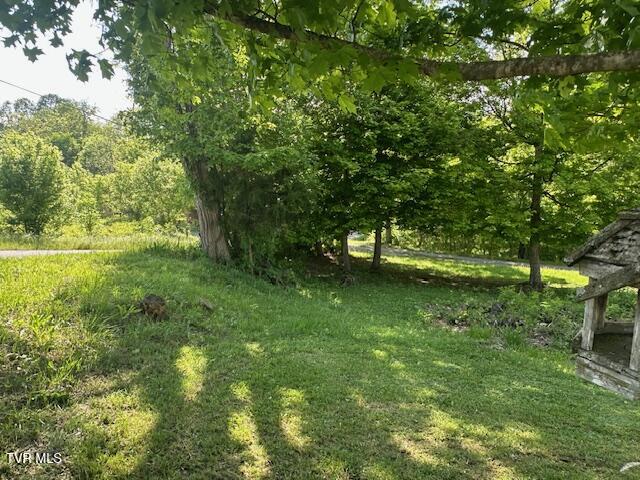 2226 Fordtown Road, Jonesborough, Tennessee image 15
