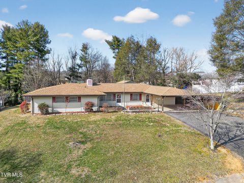 Homes For Sale - 228 Sioux Road<br/> Bristol, VA 24201