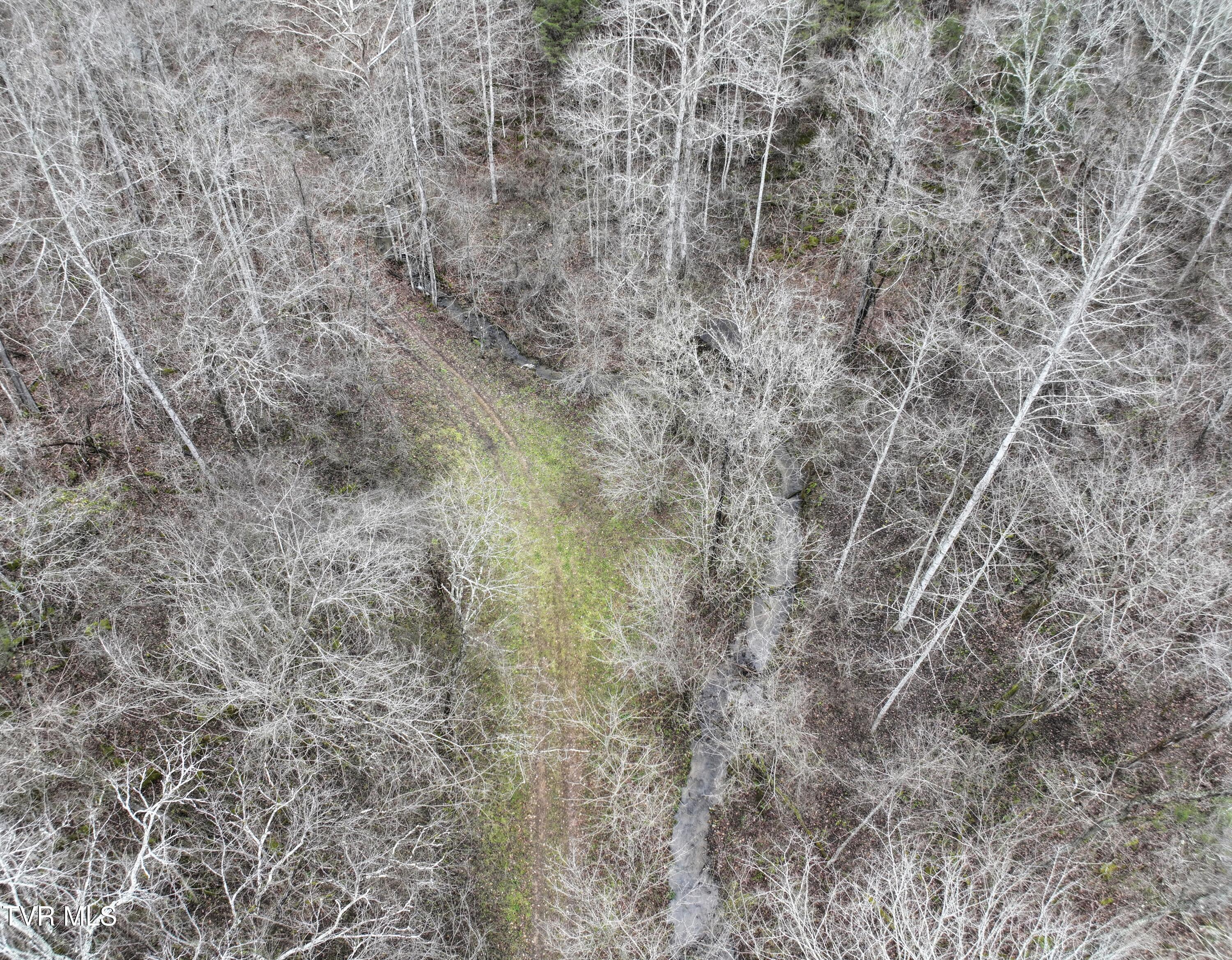 Tbd Kingdom Road, Duffield, Virginia image 7