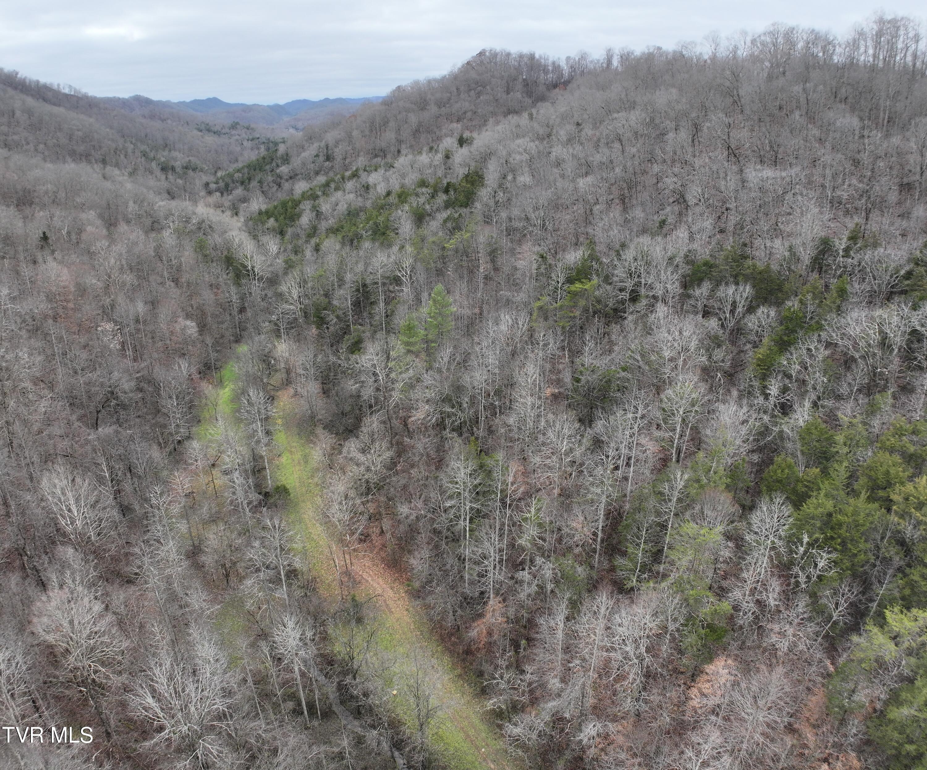 Tbd Kingdom Road, Duffield, Virginia image 8