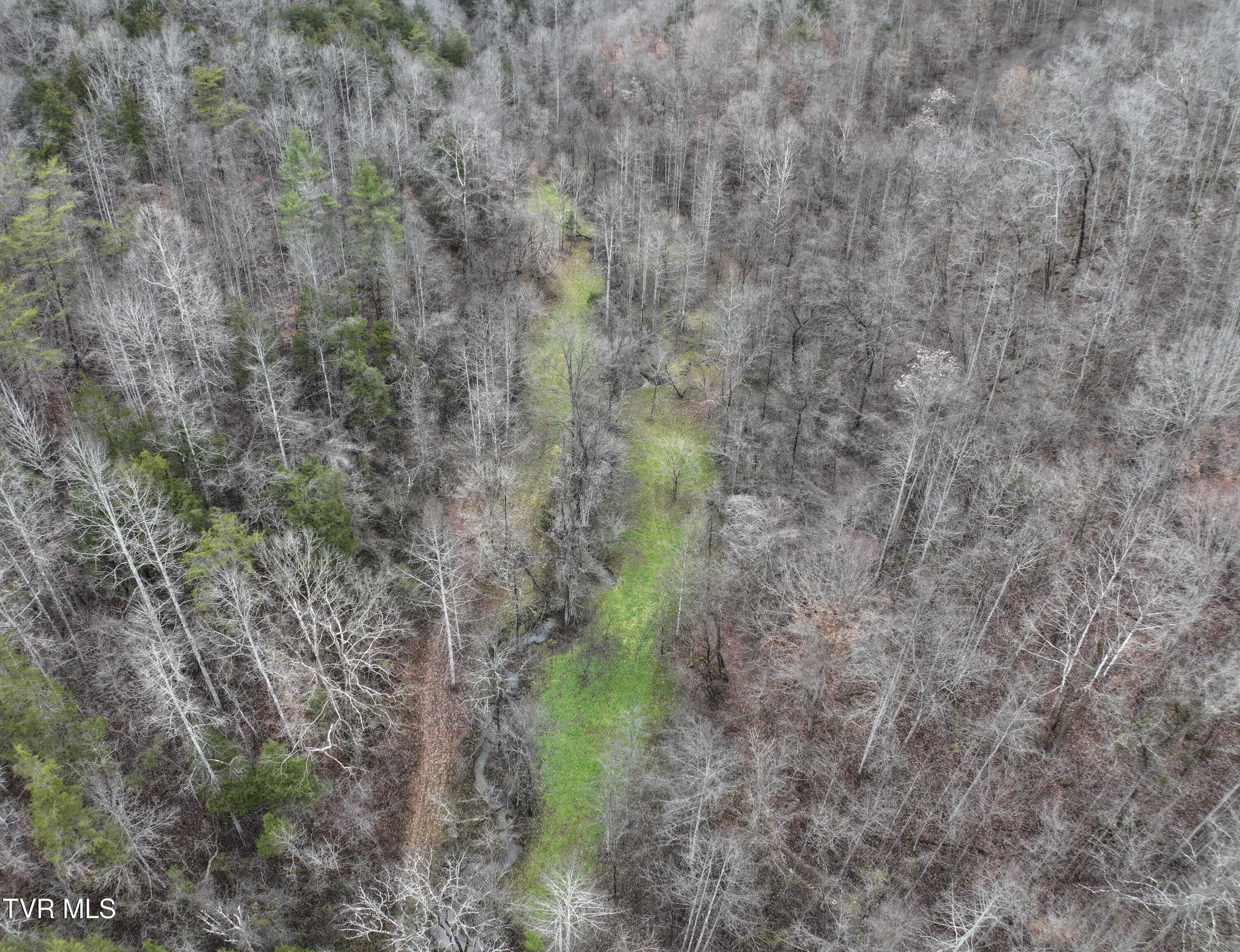 Tbd Kingdom Road, Duffield, Virginia image 9