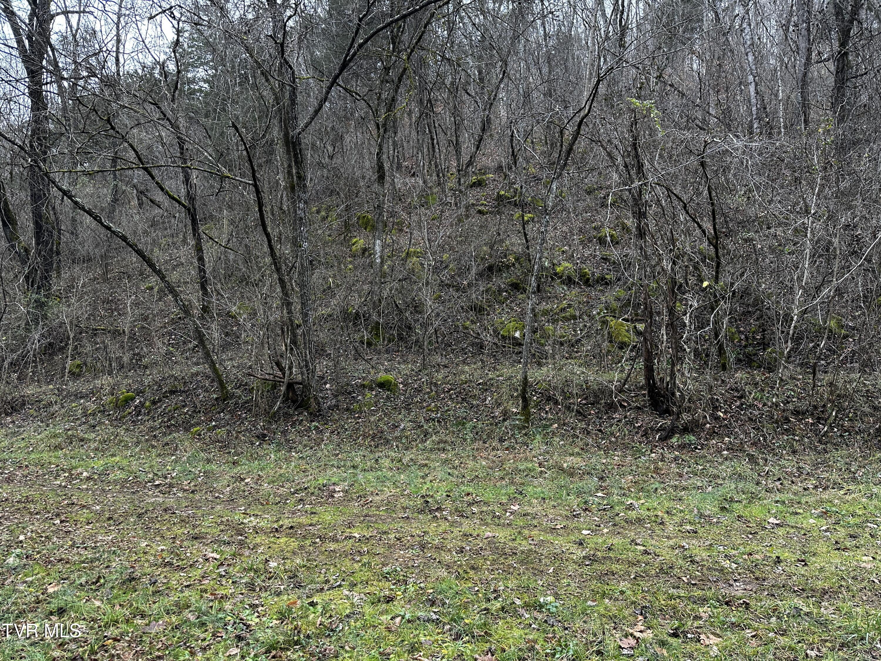 Tbd Kingdom Road, Duffield, Virginia image 3