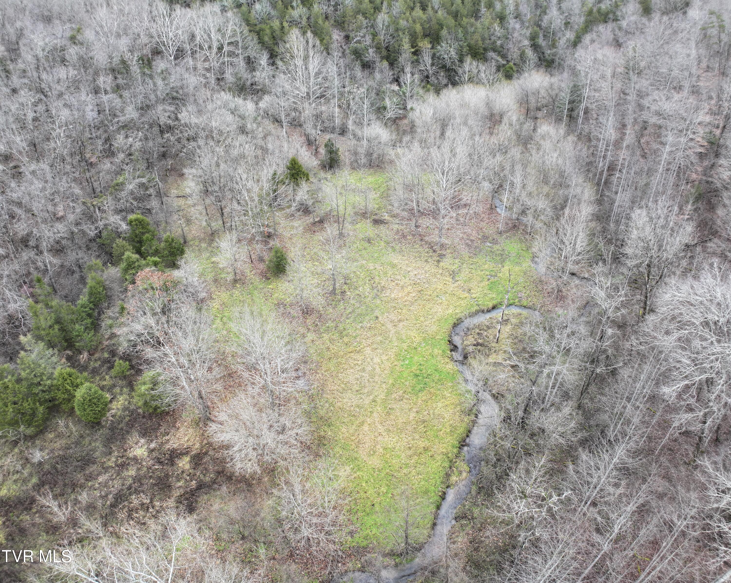 Tbd Kingdom Road, Duffield, Virginia image 13