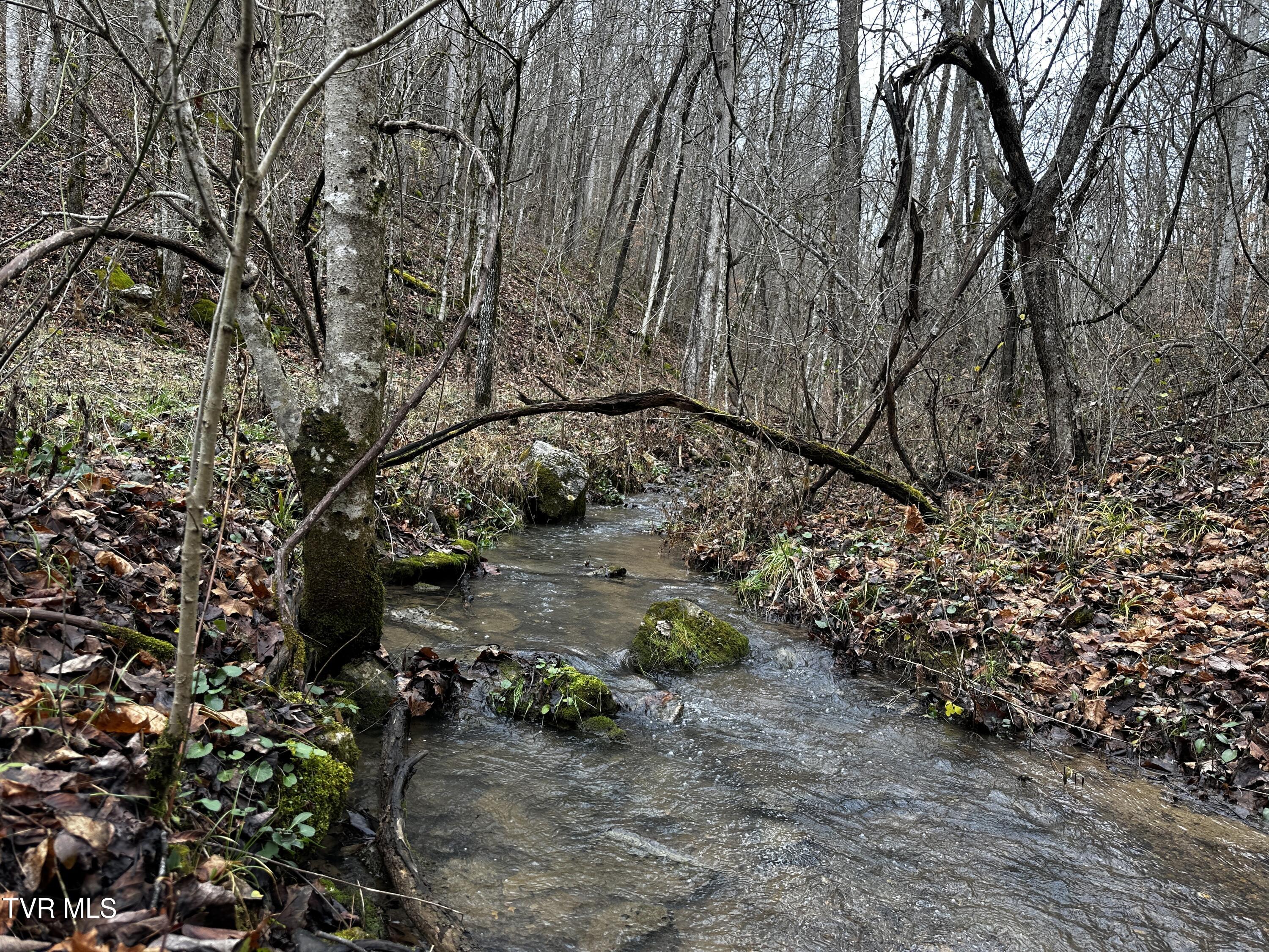 Tbd Kingdom Road, Duffield, Virginia image 2