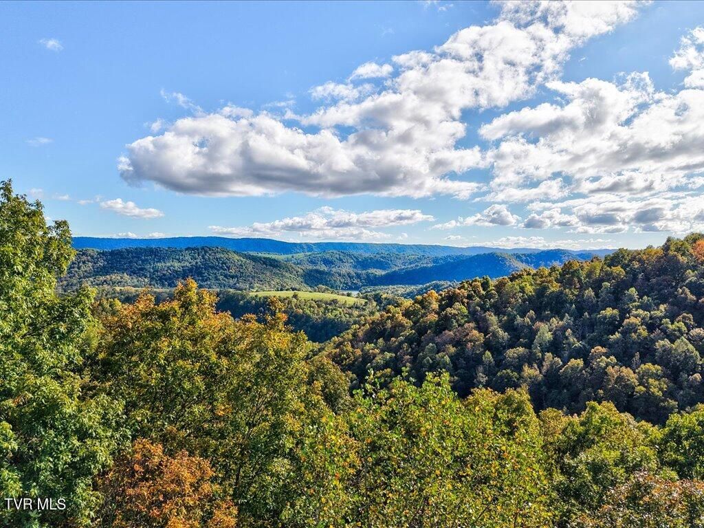 Photo of 0 Claude Bolden Lane, Tazewell, TN 37879 (MLS # 9986954)