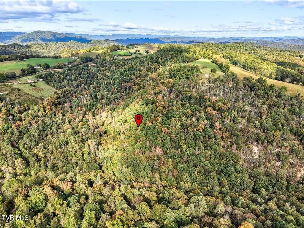 Photo of 0 Claude Bolden Lane, Tazewell, TN 37879 (MLS # 9986954)