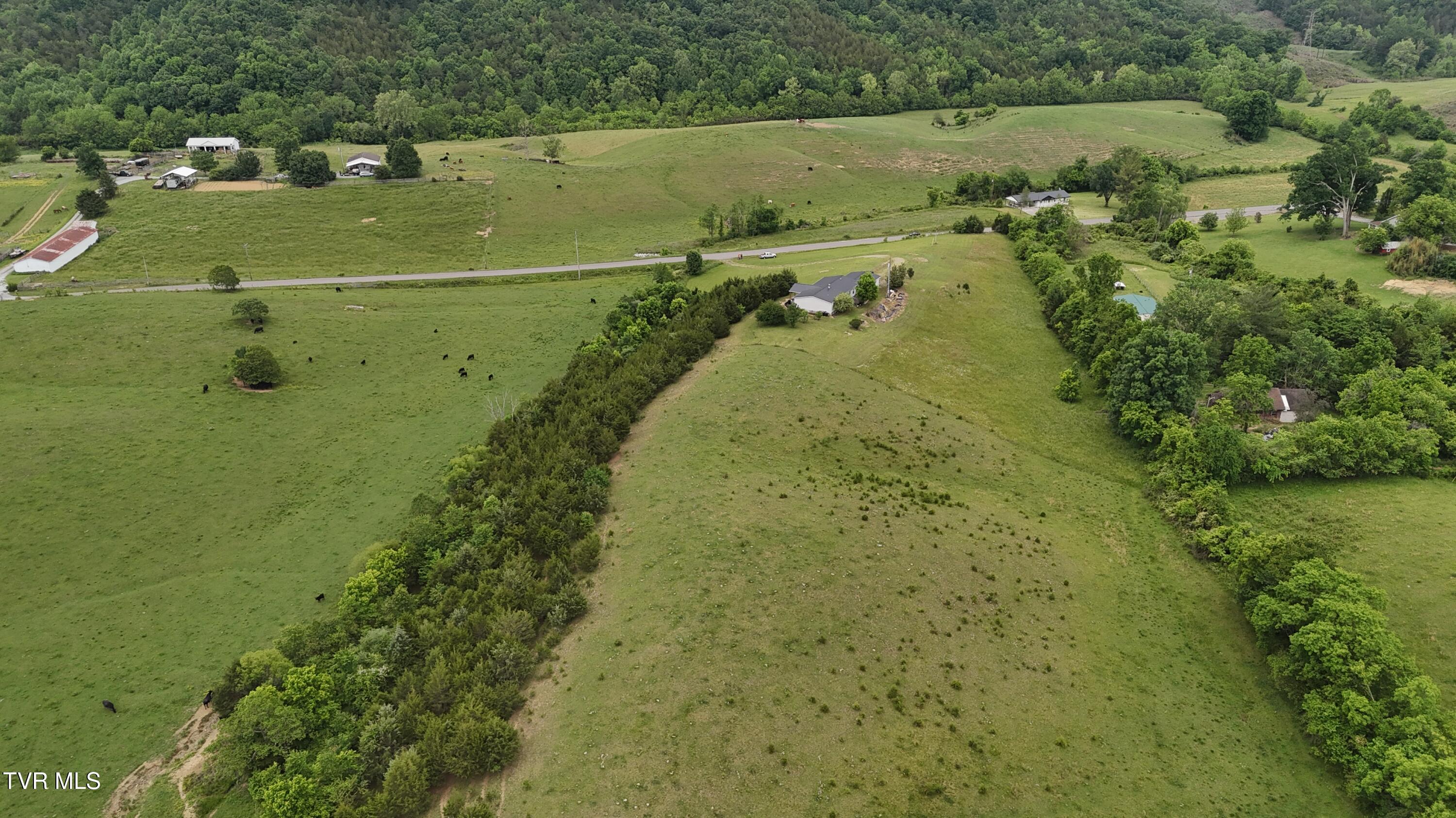 1168 Webster Valley Road, Rogersville, Tennessee image 18