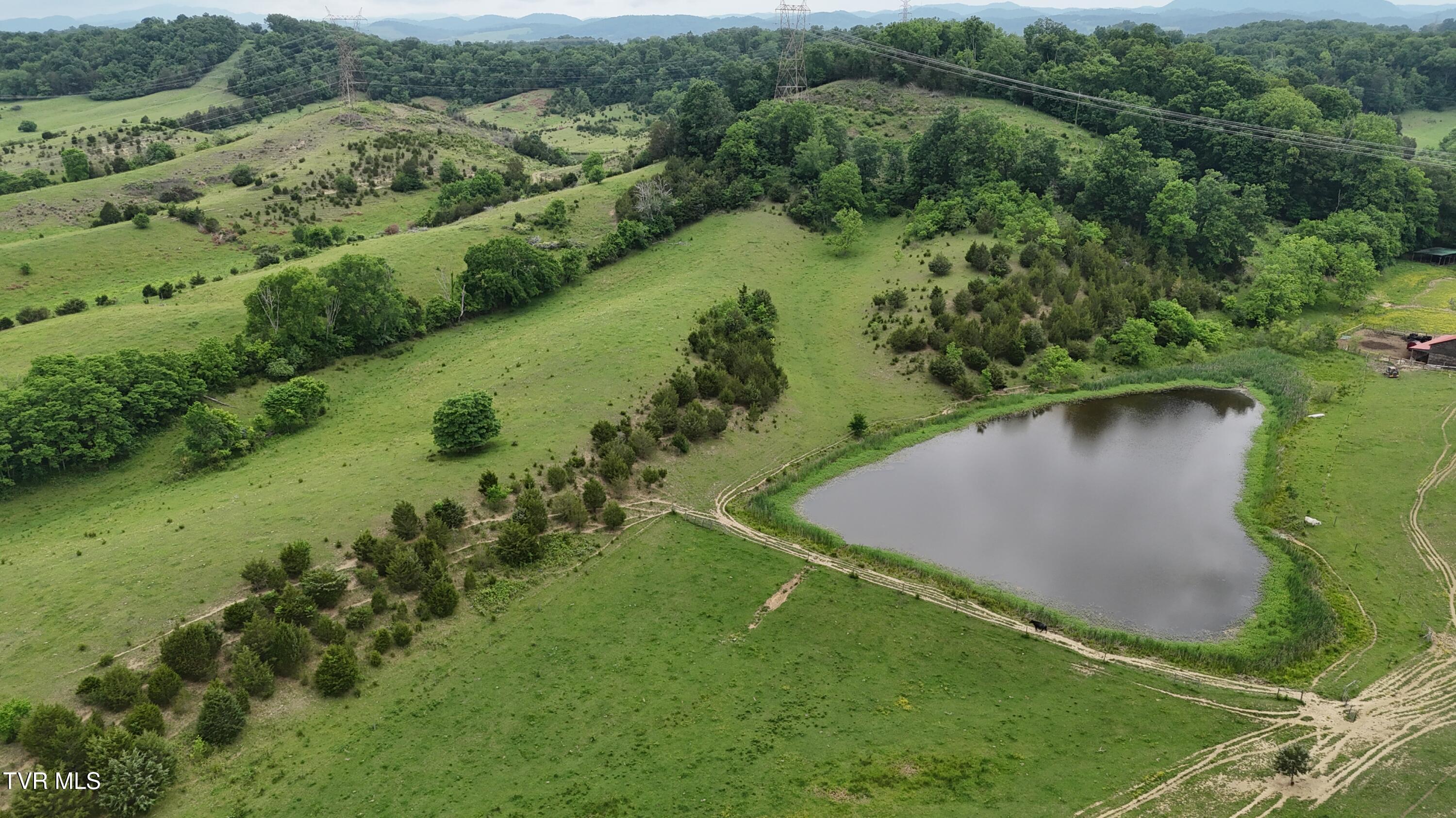 1168 Webster Valley Road, Rogersville, Tennessee image 13