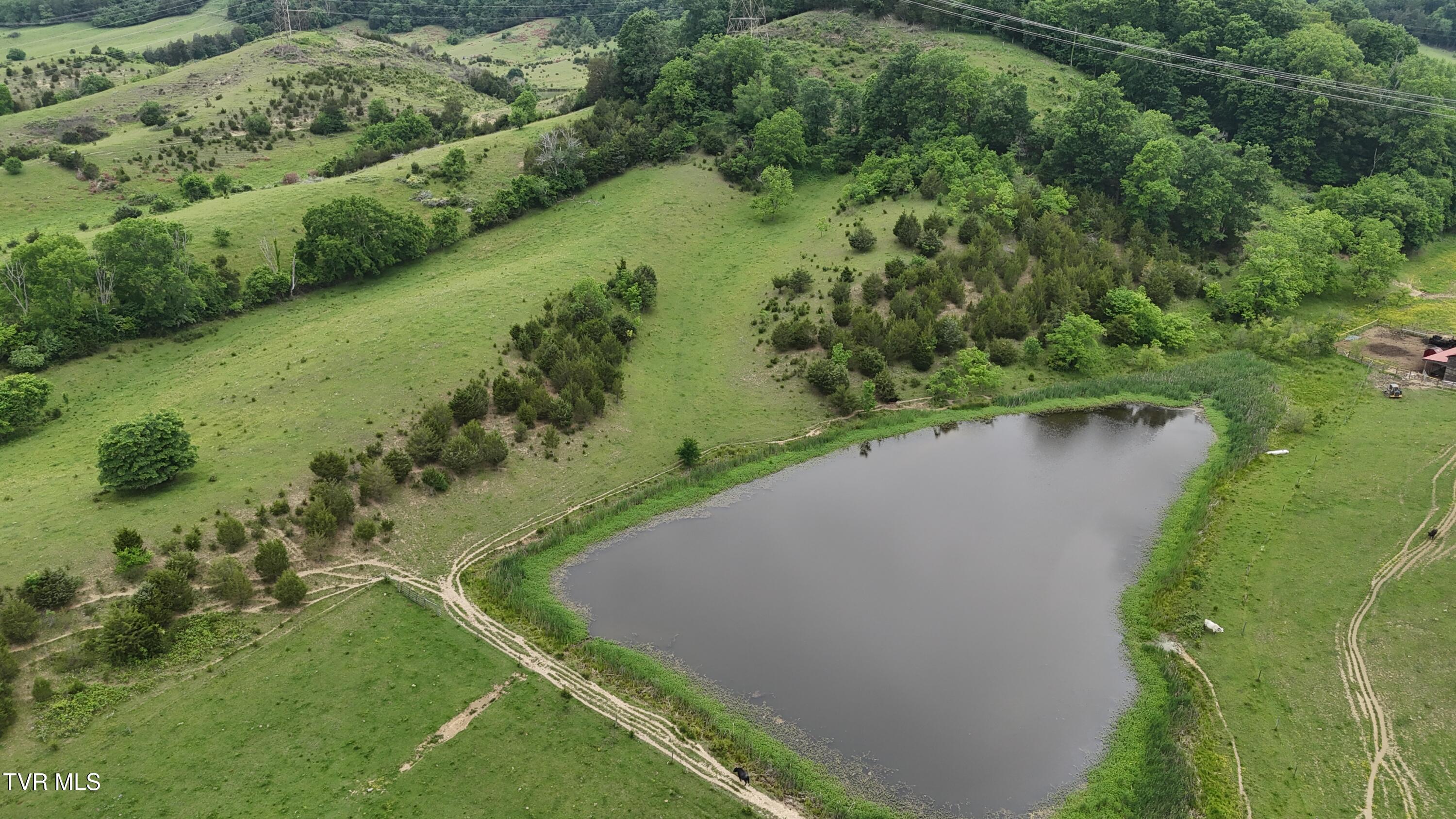 1168 Webster Valley Road, Rogersville, Tennessee image 14