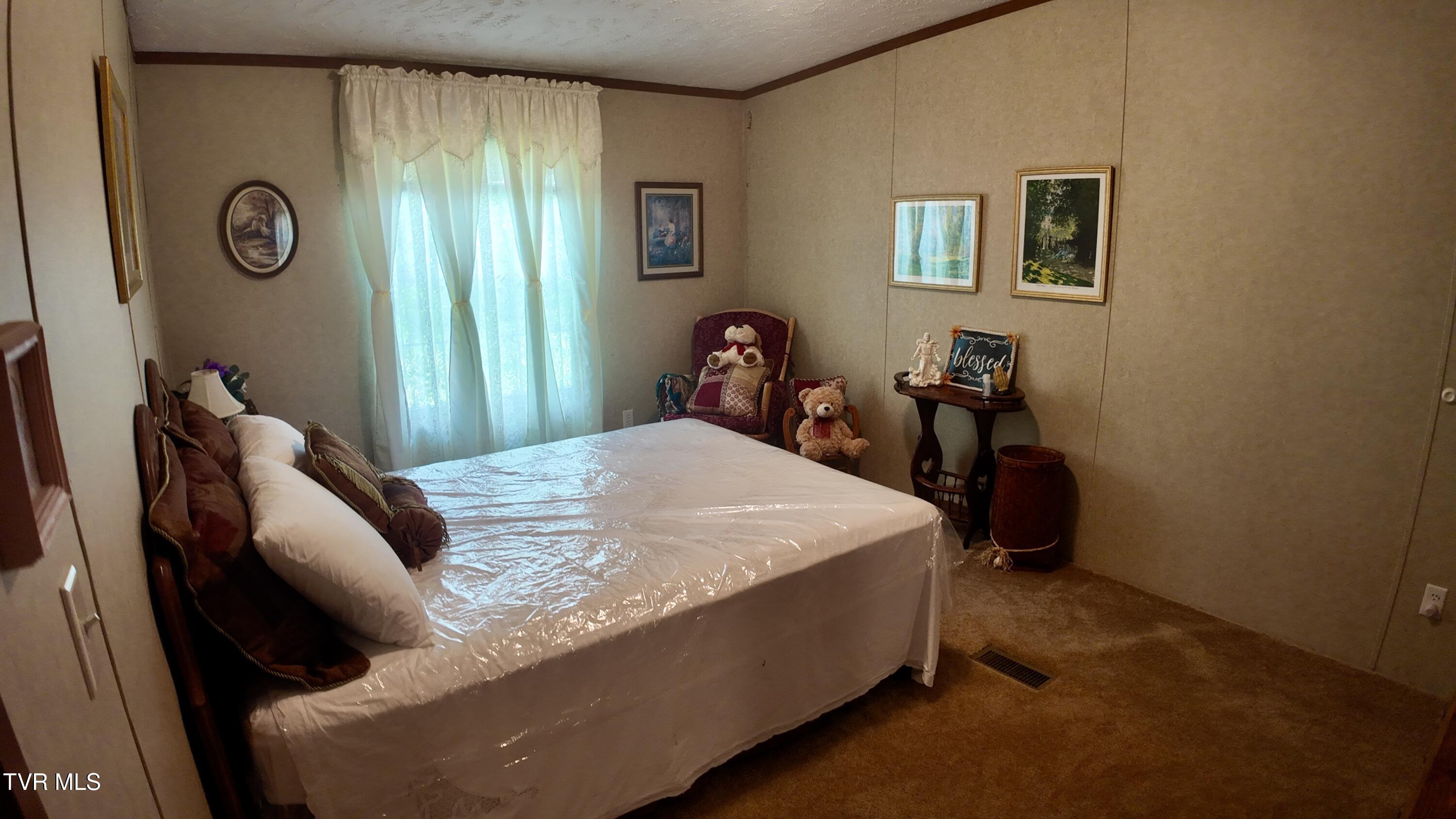 1168 Webster Valley Road, Rogersville, Tennessee image 40