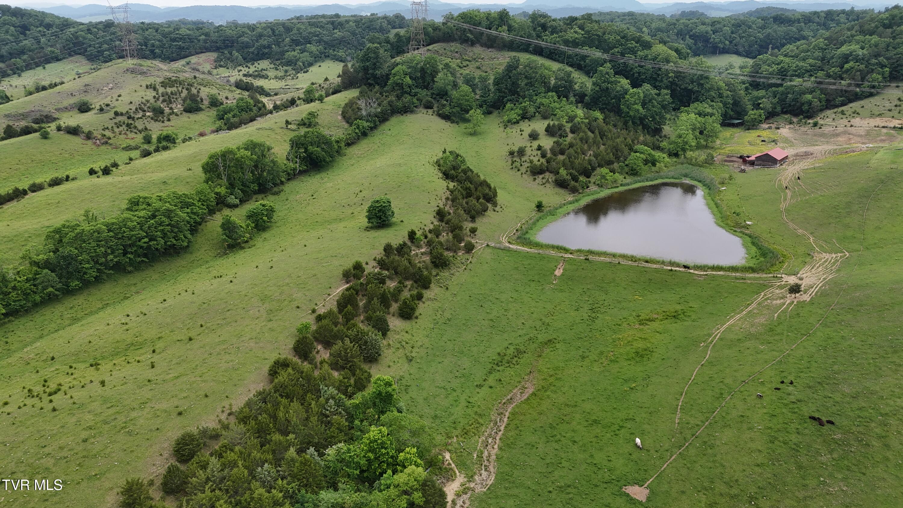 1168 Webster Valley Road, Rogersville, Tennessee image 12