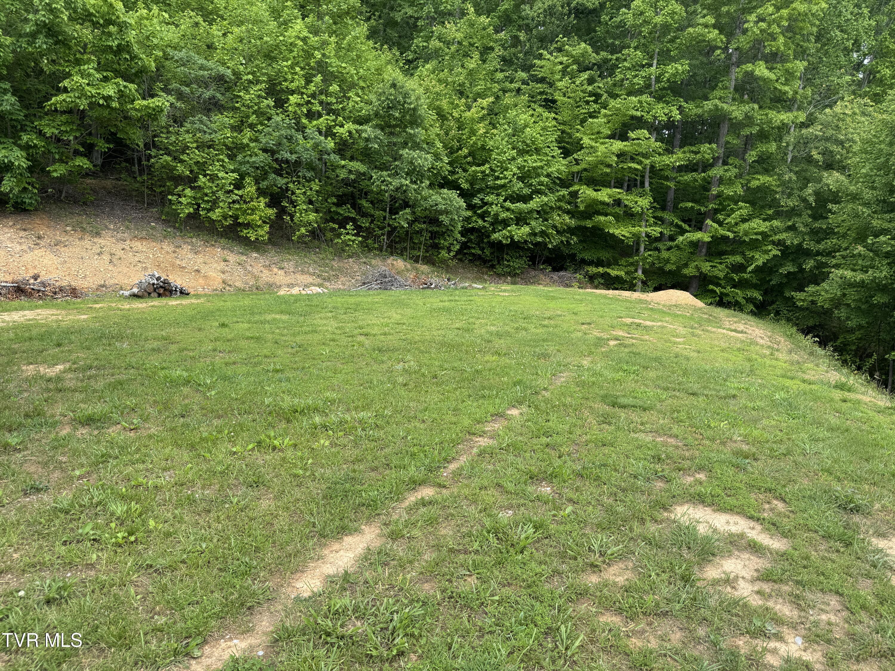 181 Dream Trail, Big Stone Gap, Virginia image 6