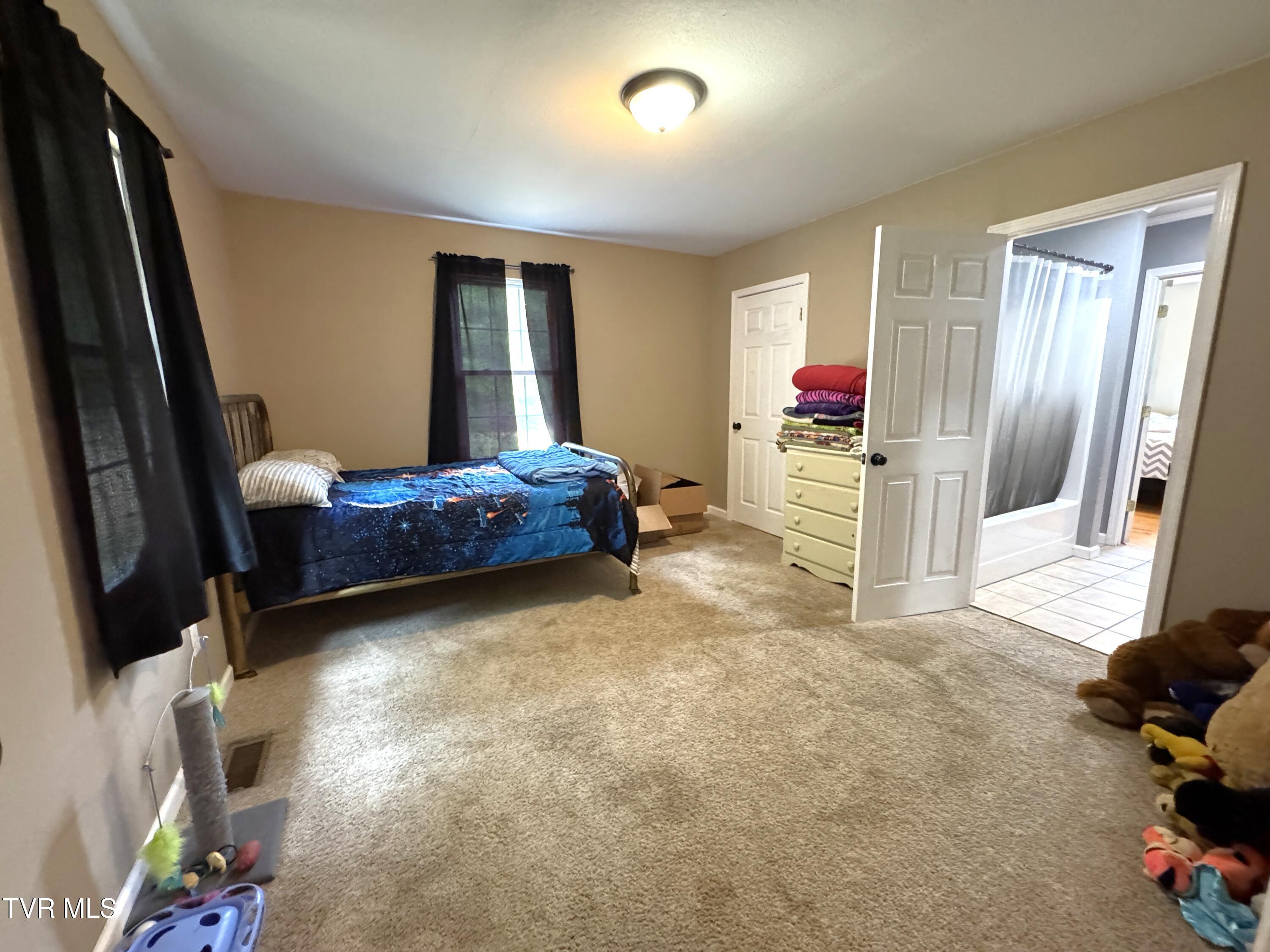 181 Dream Trail, Big Stone Gap, Virginia image 29