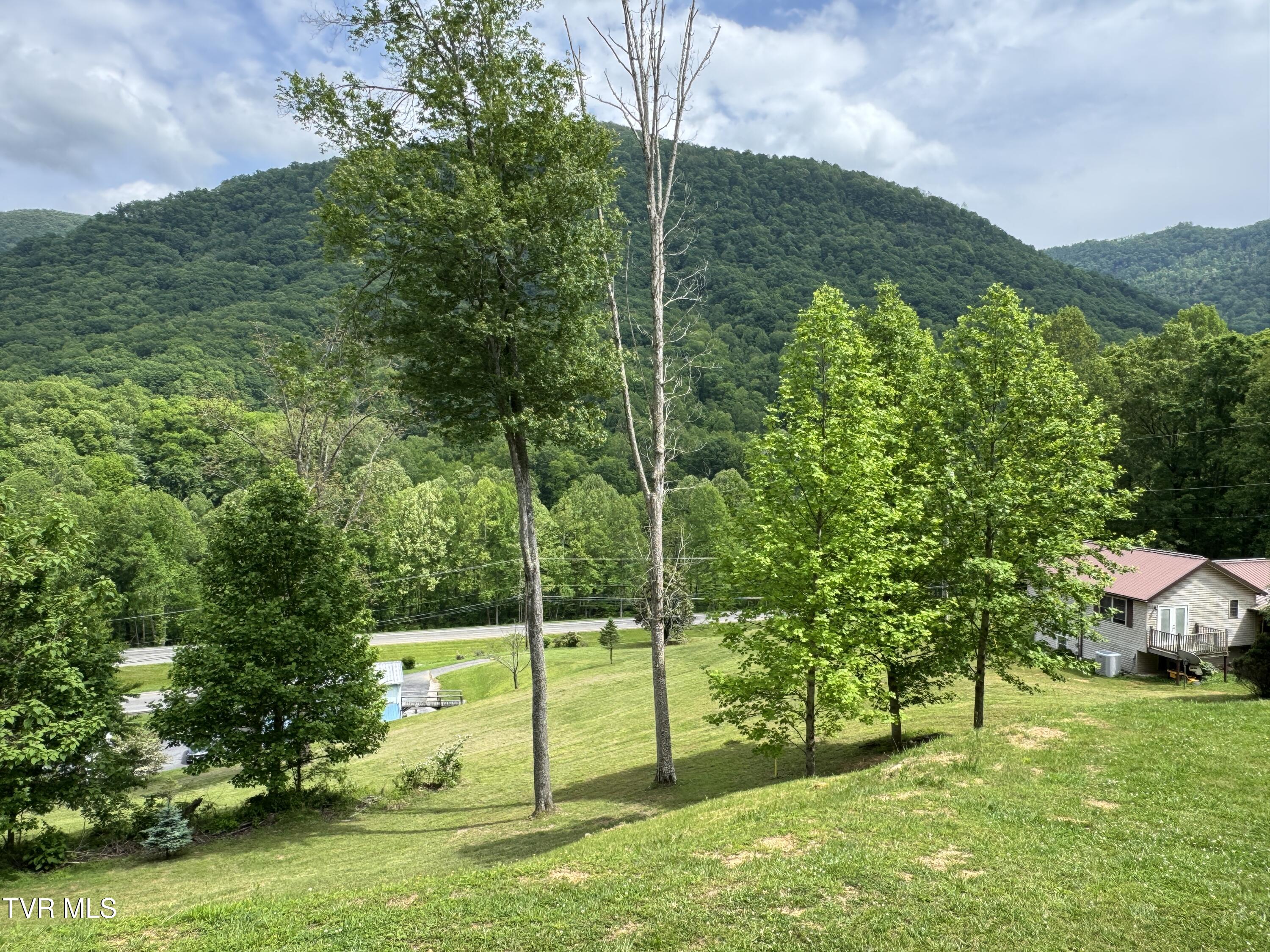 181 Dream Trail, Big Stone Gap, Virginia image 49