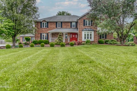 Homes For Sale - 22319 Campground Rd Road<br/> Bristol, VA 24202