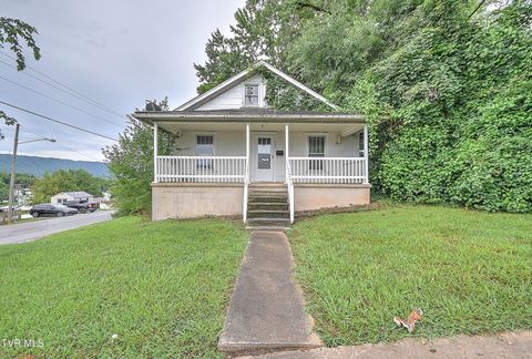 Homes For Sale - 900 Fairview Avenue<br/> Sullivan County, Kingsport, TN 37660
