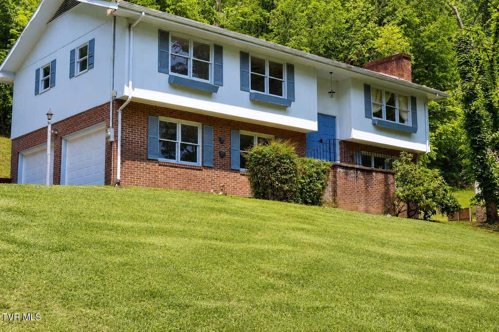 Photo of 205 Tamassee Drive, Johnson City, TN 37601 (MLS # 9996408)