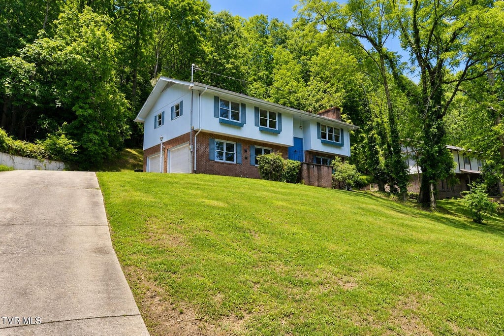 Photo of 205 Tamassee Drive, Johnson City, TN 37601 (MLS # 9996408)