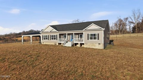 Photo of 283 Mitchell Ridge Road, Jonesborough, TN 37659 (MLS # 9990610)