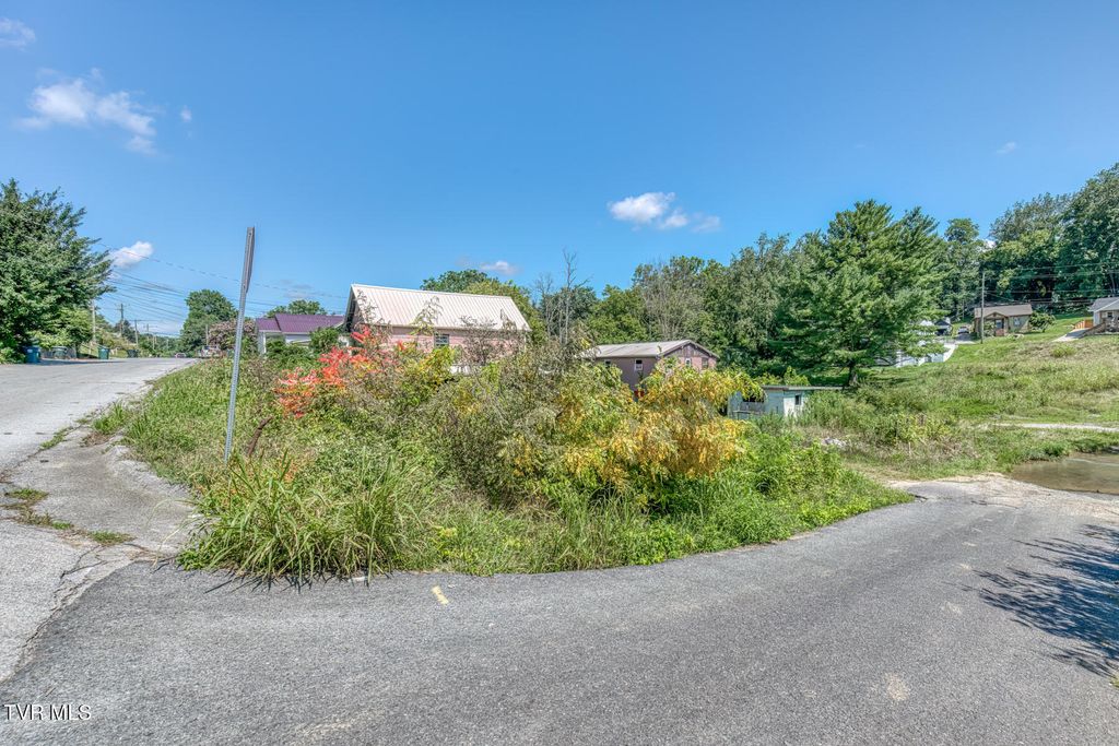 Photo of 1001 Vermont Avenue, Bristol, VA 24201 (MLS # 9984216)