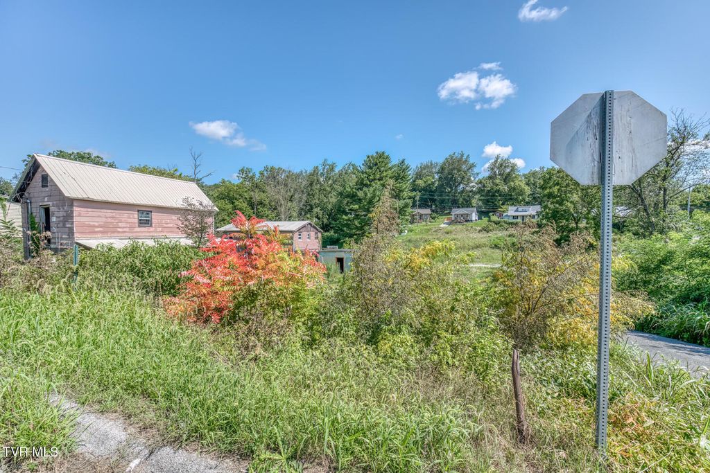 Photo of 1001 Vermont Avenue, Bristol, VA 24201 (MLS # 9984216)