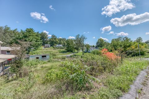 Vacant Land For Sale - 1001 Vermont Avenue<br/> Bristol, VA 24201