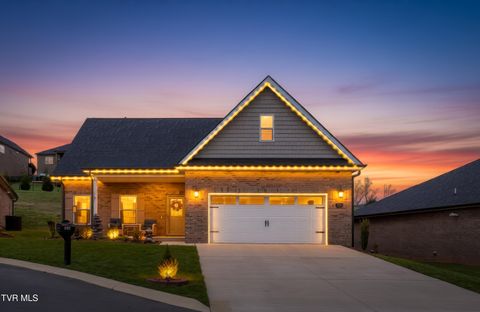 Photo of 226 Quiet Stroll Lane, Gray, TN 37615 (MLS # 9992773)