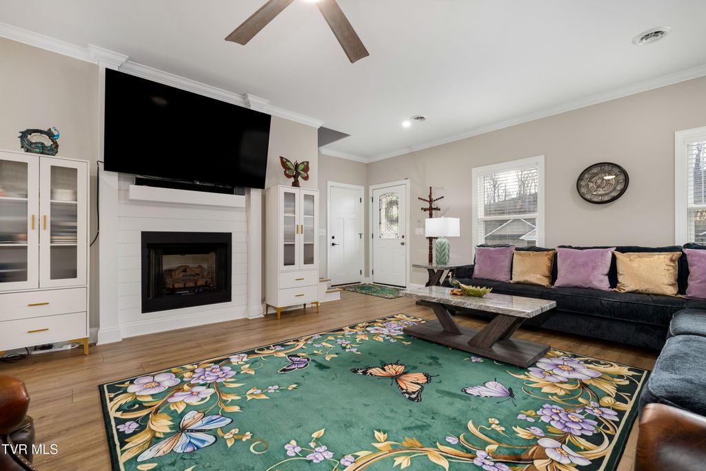 Photo of 226 Quiet Stroll Lane, Gray, TN 37615 (MLS # 9992773)