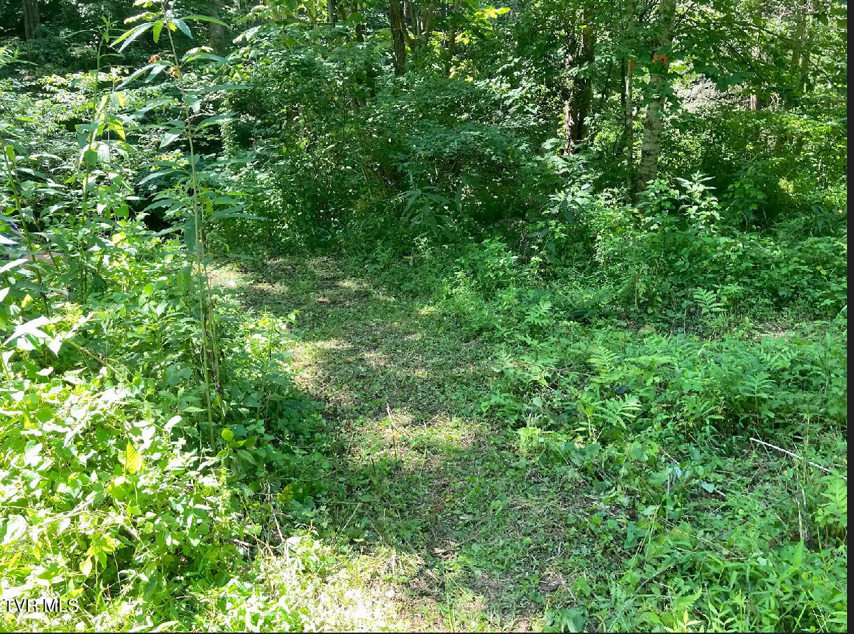 2110 Highway 91, Elizabethton, Tennessee image 11