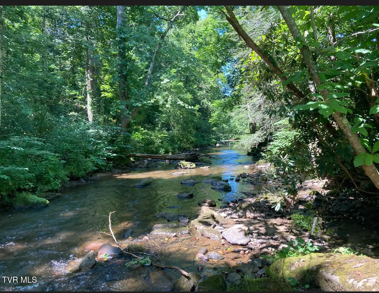 2110 Highway 91, Elizabethton, Tennessee image 18