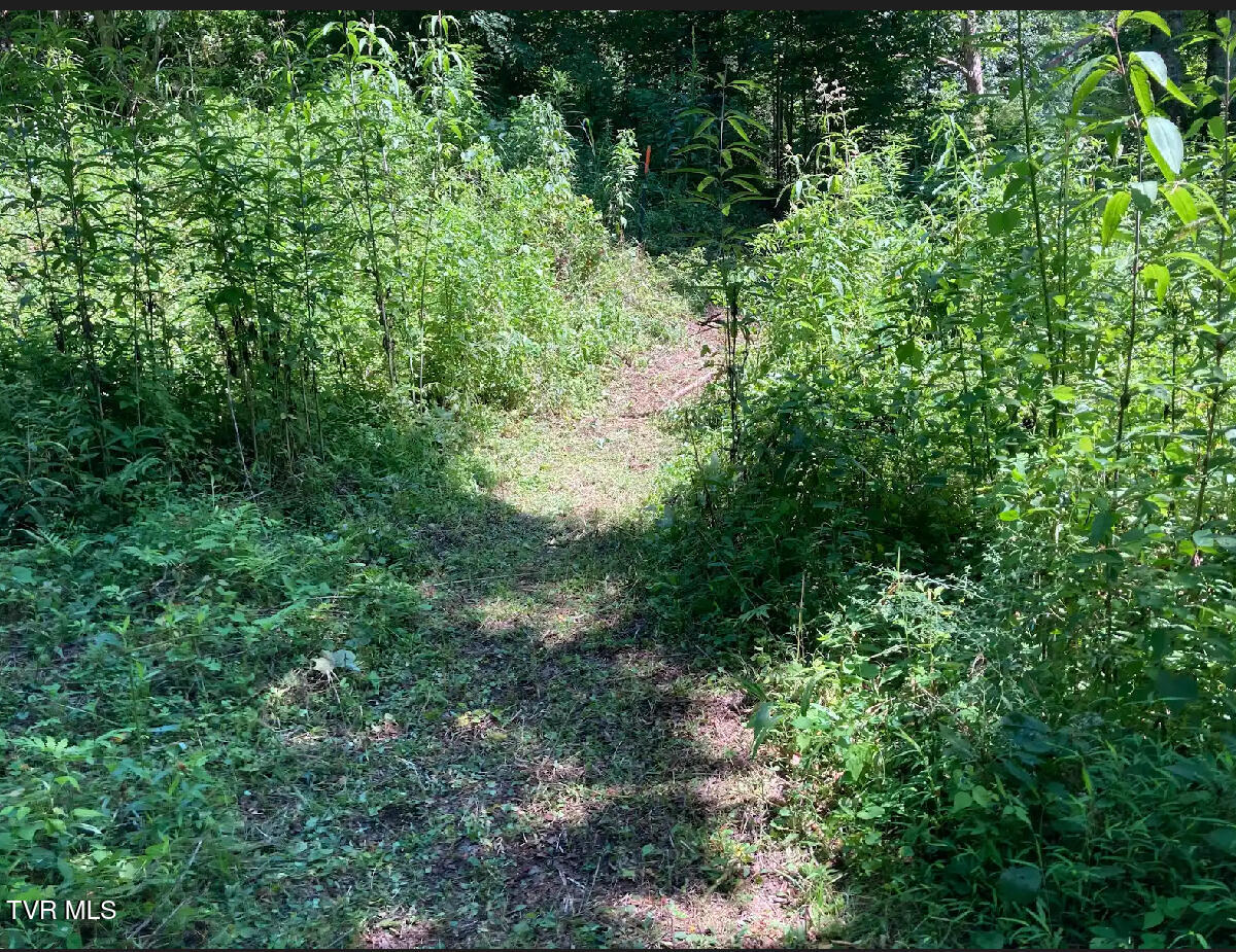 2110 Highway 91, Elizabethton, Tennessee image 12