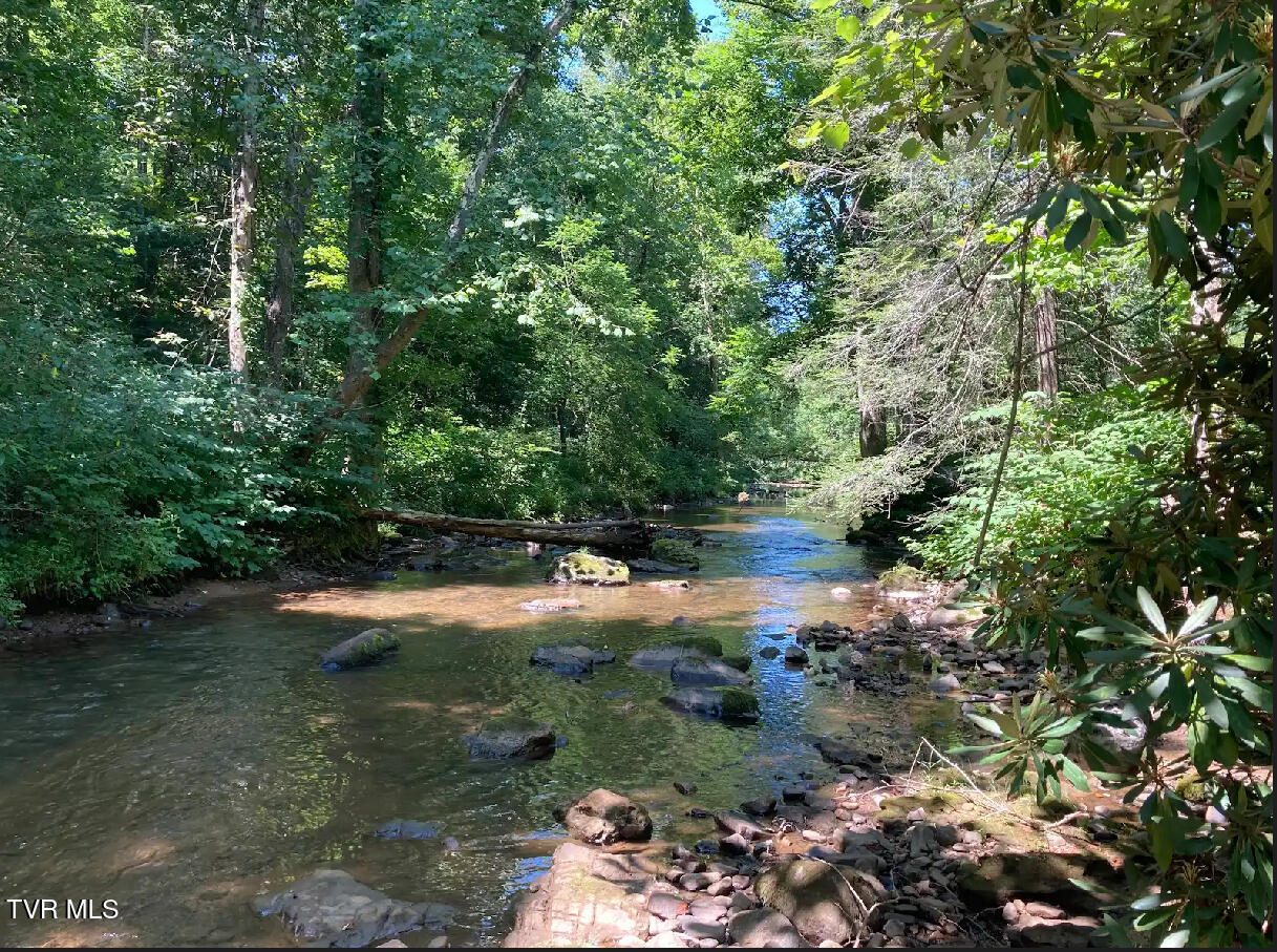 2110 Highway 91, Elizabethton, Tennessee image 14