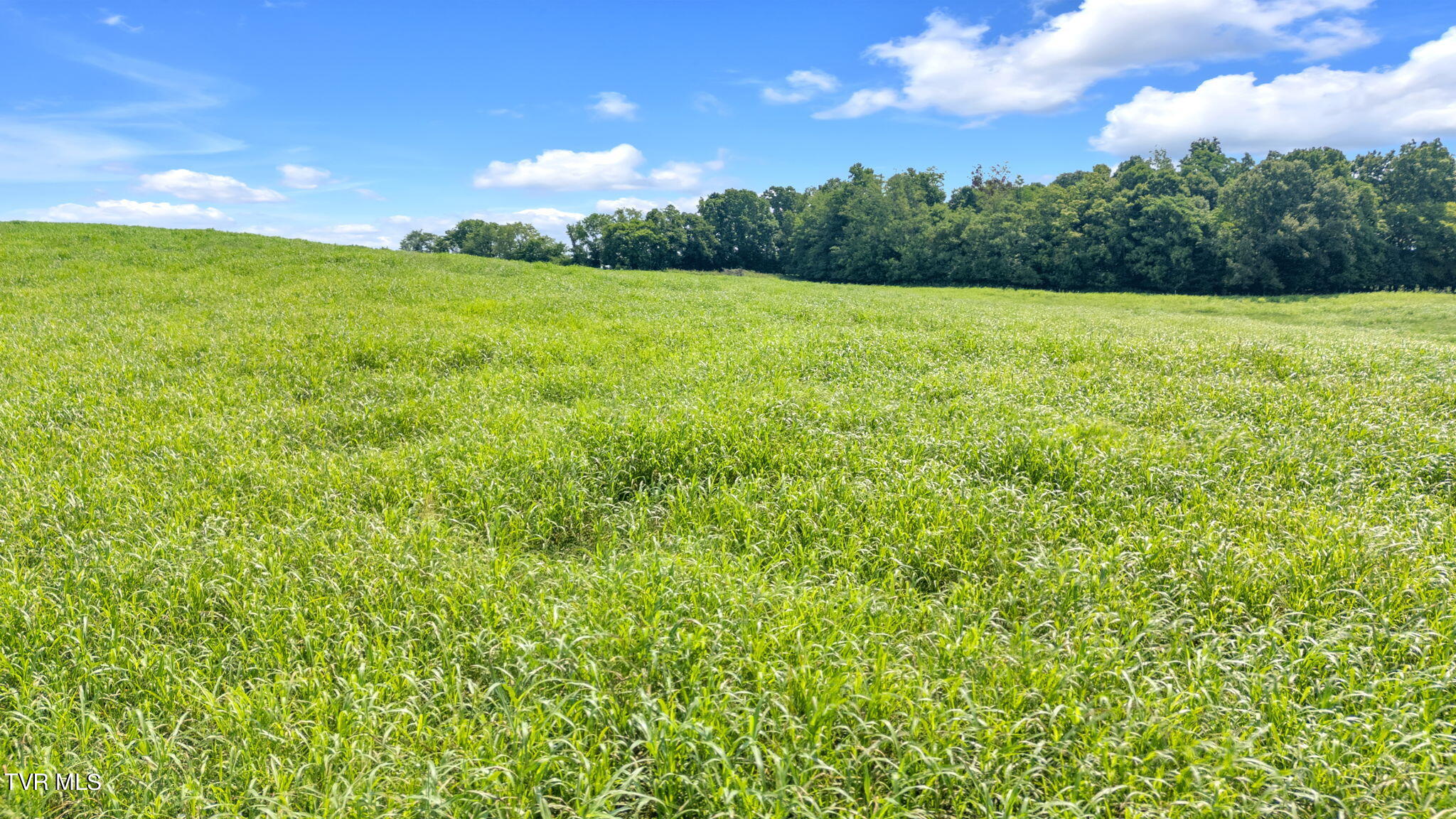 2200 Old Hall Parcel 3 Road, Limestone, Tennessee image 37