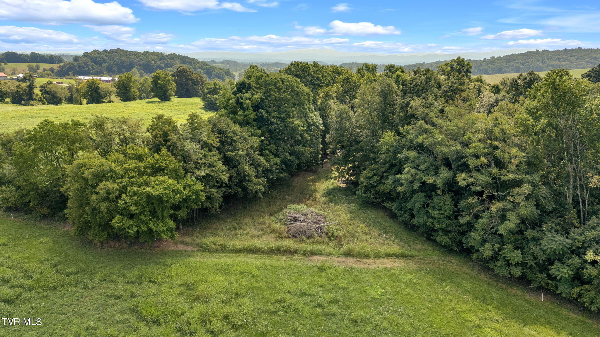 2200 Old Hall Parcel 3 Road, Limestone, Tennessee image 5