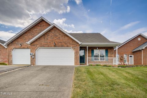 Photo of 4208 Nickleby Court, Kingsport, TN 37663 (MLS # 9985939)
