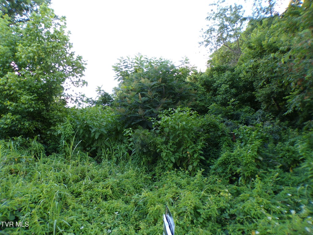 Photo of 1725 Charles Street, Kingsport, TN 37660 (MLS # 9997074)